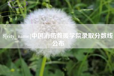 燕郊中国消防救援学院录取分数线公布