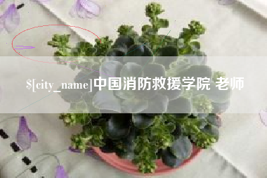 燕郊中国消防救援学院 老师