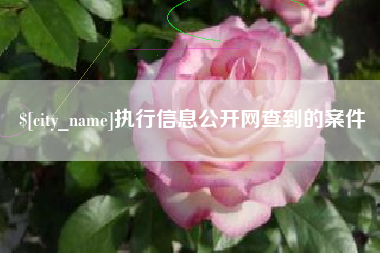 燕郊执行信息公开网查到的案件