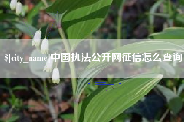 燕郊中国执法公开网征信怎么查询