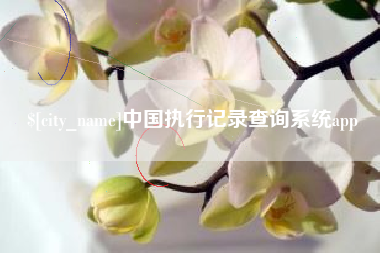 燕郊中国执行记录查询系统app