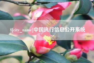 燕郊中国执行信息公开系统