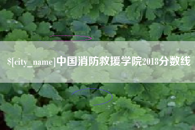 燕郊中国消防救援学院2018分数线