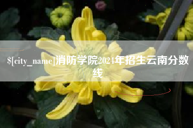 燕郊消防学院2024年招生云南分数线