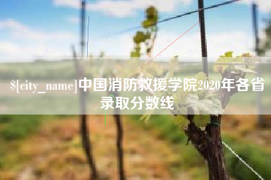 燕郊中国消防救援学院2020年各省录取分数线