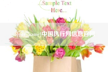 燕郊中国执行网信息官网
