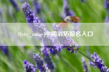 燕郊中国消防报名入口