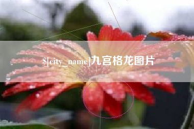 燕郊九宫格龙图片