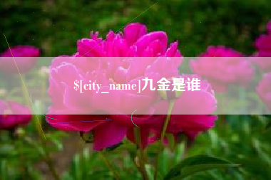 燕郊九金是谁