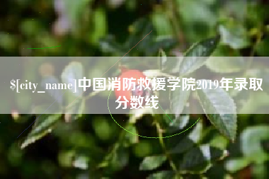 燕郊中国消防救援学院2019年录取分数线