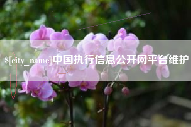 燕郊中国执行信息公开网平台维护