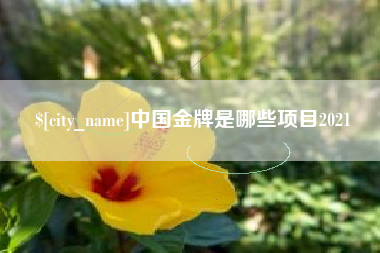 燕郊中国金牌是哪些项目2021