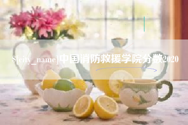燕郊中国消防救援学院分数2020