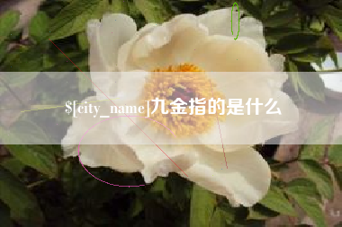 燕郊九金指的是什么