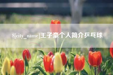 燕郊王子豪个人简介乒乓球