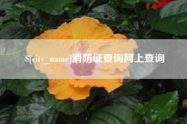 燕郊消防证查询网上查询