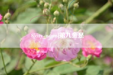 燕郊第九金是