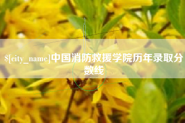 燕郊中国消防救援学院历年录取分数线
