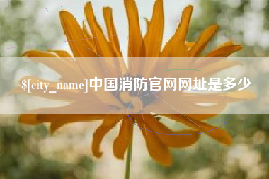 燕郊中国消防官网网址是多少