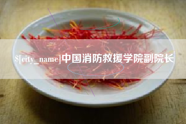 燕郊中国消防救援学院副院长