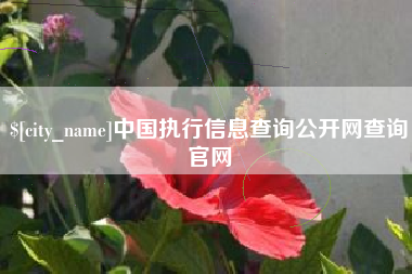 燕郊中国执行信息查询公开网查询官网