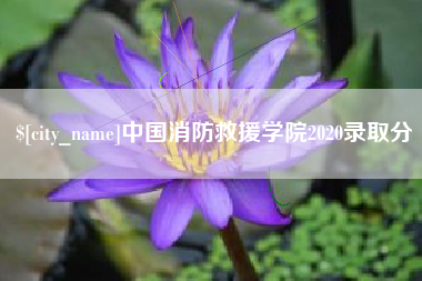 燕郊中国消防救援学院2020录取分