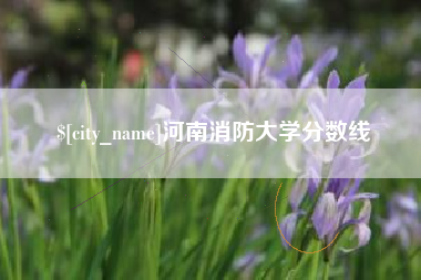 燕郊河南消防大学分数线