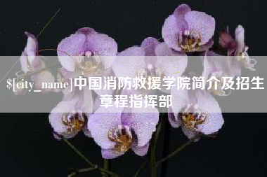 燕郊中国消防救援学院简介及招生章程指挥部