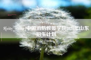 燕郊中国消防救援学院2021年山东招生计划