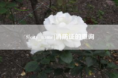 燕郊消防证的查询