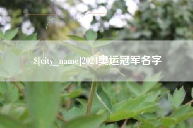 燕郊2024奥运冠军名字