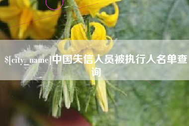 燕郊中国失信人员被执行人名单查询