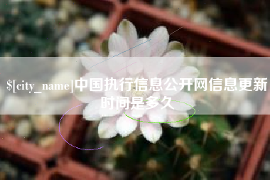 燕郊中国执行信息公开网信息更新时间是多久