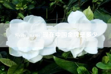 燕郊现在中国金牌是多少