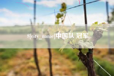 燕郊中国队 冠军