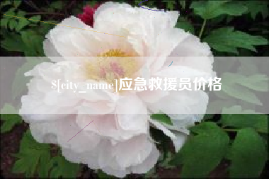 燕郊应急救援员价格
