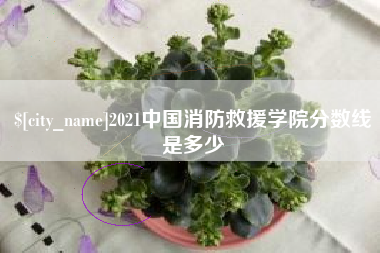 燕郊2021中国消防救援学院分数线是多少