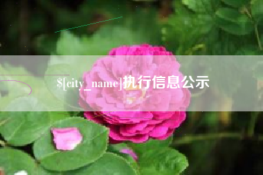 燕郊执行信息公示