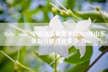 燕郊中国消防救援学院2021年山东录取分数线是多少