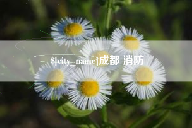 燕郊成都 消防