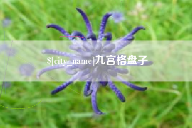 燕郊九宫格盘子