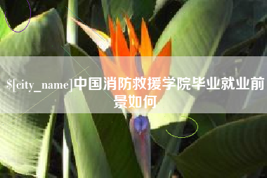 燕郊中国消防救援学院毕业就业前景如何