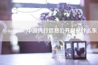 燕郊中国执行信息公开网是什么东西