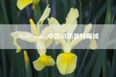 燕郊中国消防器材商城