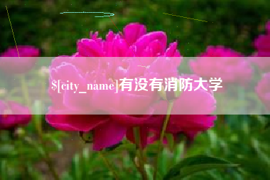 燕郊有没有消防大学
