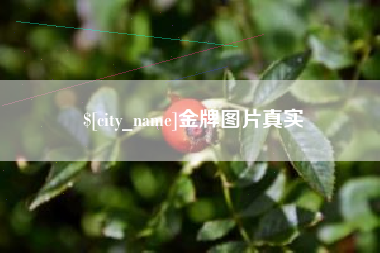 燕郊金牌图片真实