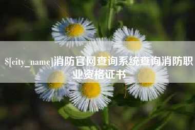 燕郊消防官网查询系统查询消防职业资格证书