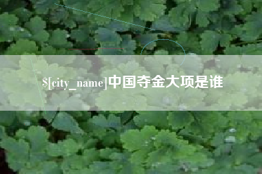 燕郊中国夺金大项是谁
