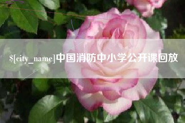 燕郊中国消防中小学公开课回放