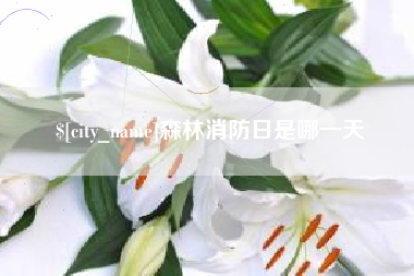 燕郊森林消防日是哪一天
